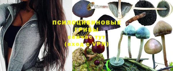 прущий лед Бугульма