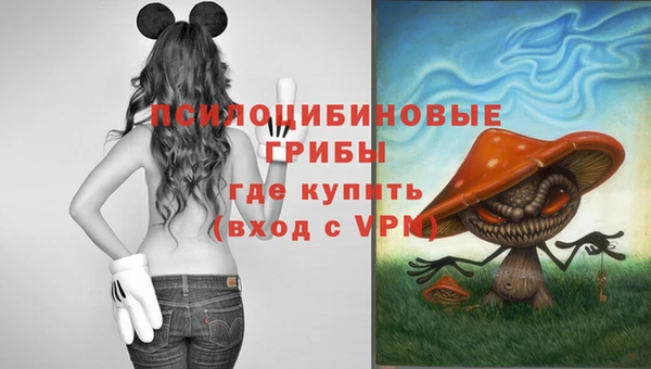 прущий лед Бугульма
